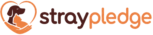 Stray Pledge